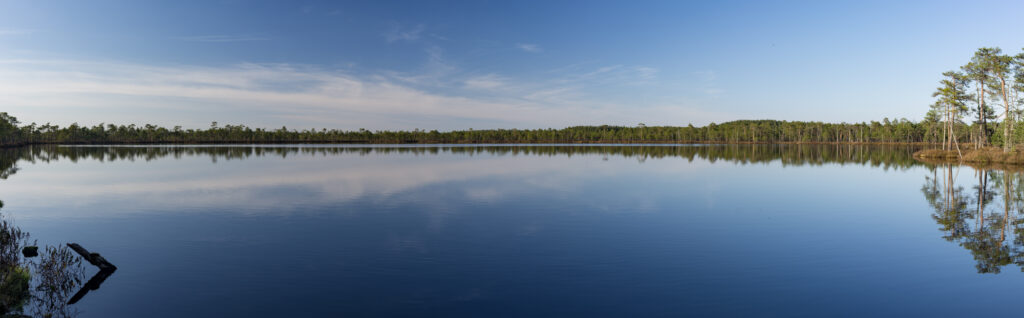 20160506-Meenikunno-21