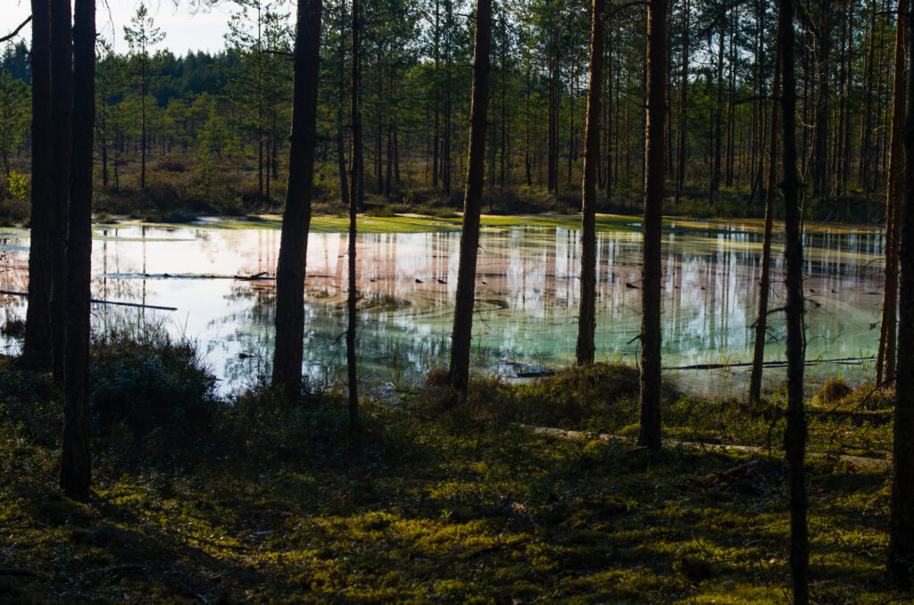 20160506-Meenikunno-41